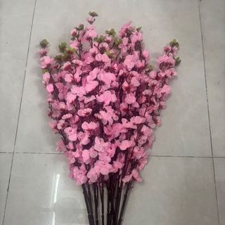 Mai/ đào cành (10cành/bó)