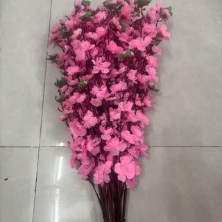 Mai/ đào cành (10cành/bó)
