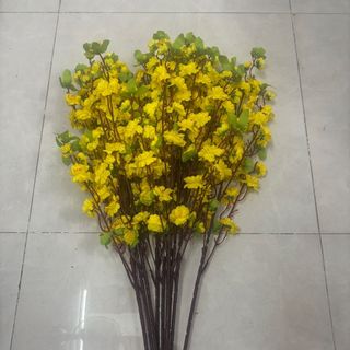 Mai/ đào cành (10cành/bó)