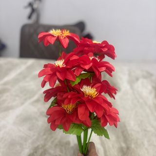 Bụi hoa sứ 46cm
