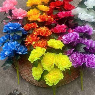 Hoa mẫu đơn bụi 9 bông