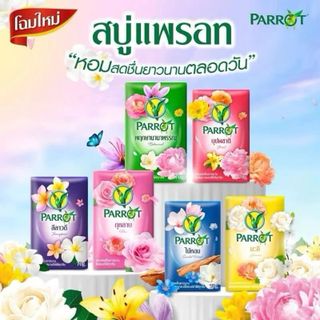 Xà Phòng Vẹt 55gr Thái Lan (Thùng 24 Lốc x 6 Cái)