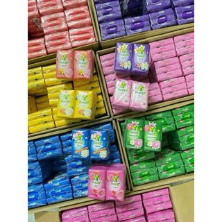 Xà Phòng Vẹt 55gr Thái Lan (Thùng 24 Lốc x 6 Cái)