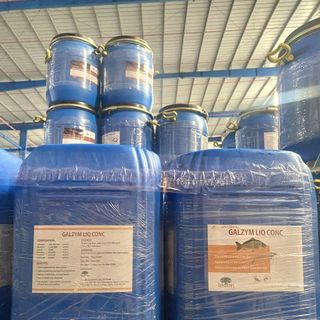GALZYM LIQ CONC – Enzyme tiêu hóa dạng nước
