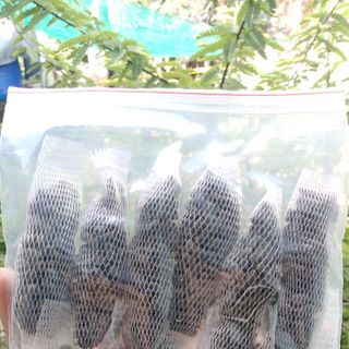 (10+2) TÚI BÓN LAN/PHÂN HỮU CƠ DƠI HÀN QUỐC