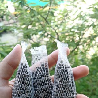 (10+2) TÚI BÓN LAN/PHÂN HỮU CƠ DƠI HÀN QUỐC