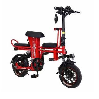 Sỉ xe đạp điện có kèm pin đi cùng xe