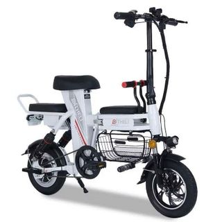 Sỉ xe đạp điện có kèm pin đi cùng xe