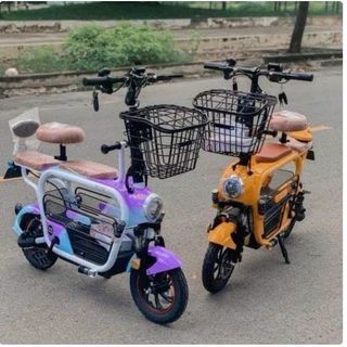 Sỉ xe đạp điện có kèm theo pin