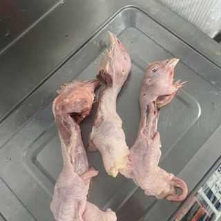 Đầu cổ gà hàng tươi cấp đông - bịch 5kg (hoả tốc hcm)