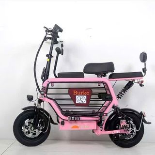 Sỉ xe đạp điện có kèm theo pin