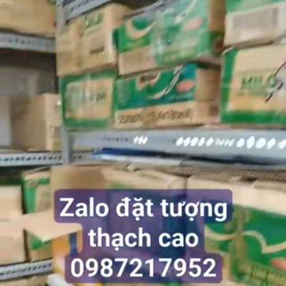 Tượng thạch cao tranh cát nhiều mẫu ib