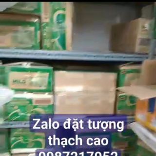 Tượng thạch cao tranh cát nhiều mẫu ib