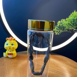 [LIVE] Vòng tay trầm hương Kì Hải Nam dạng mắt tử 7mm 5g thơm mạnh 033