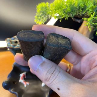 [LIVE] Mặt dây chuyền thô Kì Hải Nam dầu cận chìm đen dầu 8-9g 123