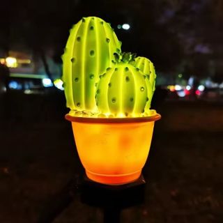 ĐÈN NĂNG LƯỢNG MẶT TRỜI CHỐNG NƯỚC HOẠ TIẾT DỨA, XƯƠNG RỒNG