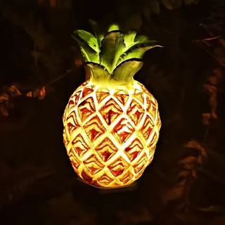 ĐÈN NĂNG LƯỢNG MẶT TRỜI CHỐNG NƯỚC HOẠ TIẾT DỨA, XƯƠNG RỒNG