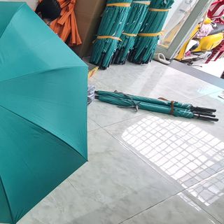 Dù Poly