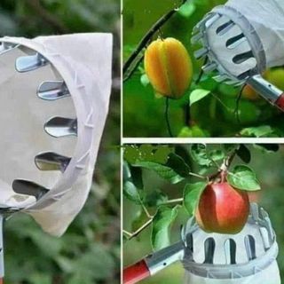 Dụng cụ hái quả