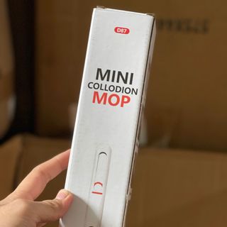 CÂY LAU KÍNH MINI