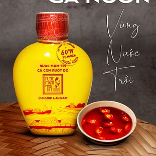 [Tặng Kiết Thành + Sốt Muối Chấm] COMBO 2 BÌNH GỐM 60 ĐỘ ĐẠM 500ML Nước mắm Tĩn cá cơm ruột đỏ rin nguyên chất truyền thống