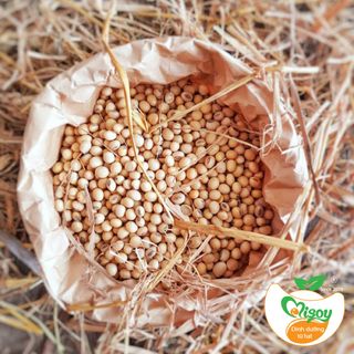 Đậu nành tách vỏ hữu cơ