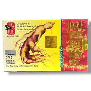 Viên uống đau nhức xương khớp Nhân Sâm Hồi Xuân Tái Tạo Hoàn - Loại 20 Viên - Xuất xứ Malaysia - Mã số 2097