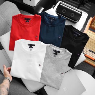 Áo thun nam. Chất 100% COTTON chính phẩm co giản 4 chiều xịn sò dày dặn mịn mát mặc thấm hút mồ hôi cực tốt
