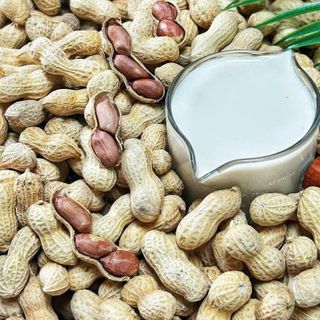 ĐẬU PHỘNG NGUYÊN VỎ RANG SỮA THƠM NGON 500G - WINNIE HOUSE