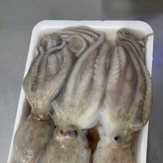 Bạch tuộc tươi (tua 1 da) khay 400gr