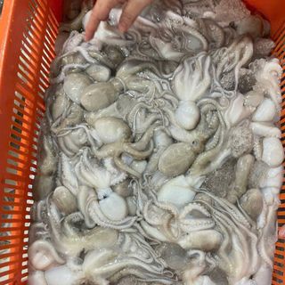 Bạch tuộc tươi (tua 1 da) khay 400gr