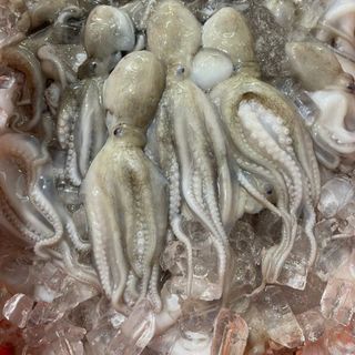 Bạch tuộc tươi (tua 1 da) khay 400gr