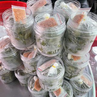 Cà na thái đập dập xốc muối ớt bịch 500g