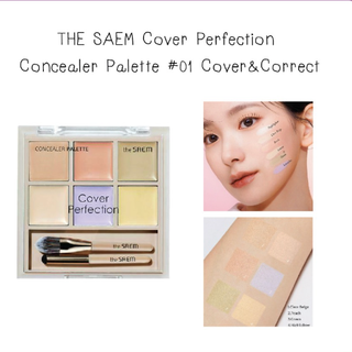 [Hàng CTY]Che khuyết điểm The Saem 6 ô - Kèm cọ