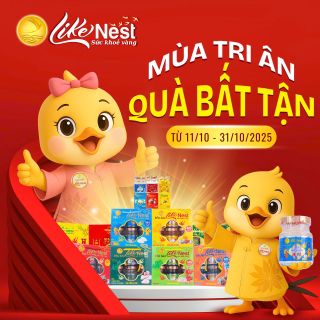 💛 MÙA TRI ÂN – QUÀ BẤT TẬN 💛