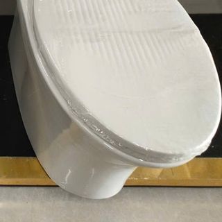 Bồn cầu 01 khối TĐV Việt Nam C669