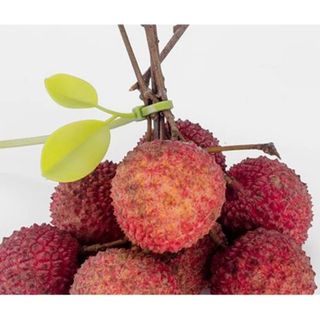 Thít Lá- Set 10 dây thít nhựa hình lá cây dùng trang trí xe máy, xe đạp, dây lạt nhựa buộc hoa quả