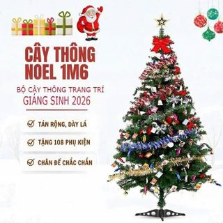 CÂY THÔNG NOEL CAO 160CM KÈM PHỤ KIỆN CHÂN NHỰA