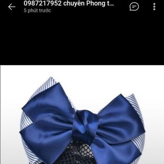 Kẹp tóc búi lưới đẹp nha đồng giá luôn