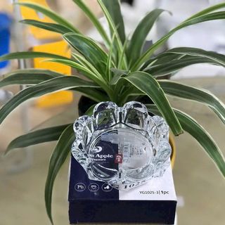 GẠT TÀN THUỐC HÌNH HOA TRÒN YG1025- 3