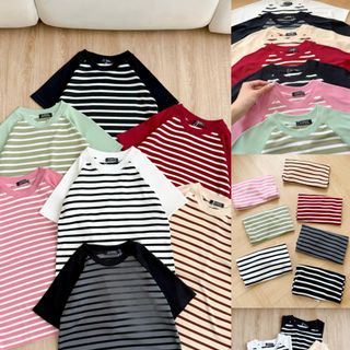 Áo thun nữ sọc phối tay bigsize chất cotton borip hàng đẹp giá tốt bán chạy