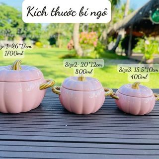 Nồi sứ bí ngô 400ml 15,5x10cm (THÙNG 24C)