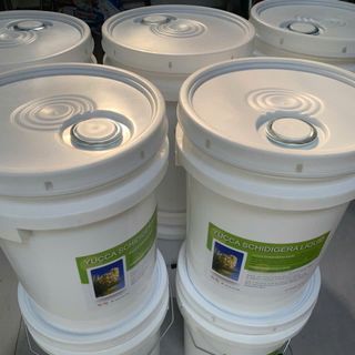 Yucca Nguyên Liệu, Yucca Mỹ, Yucca Bột, Yucca Nước, Yucca Lỏng