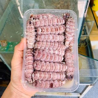 Thịt Tôm Tít  Lột Vỏ Bề Bề Giá Sỉ