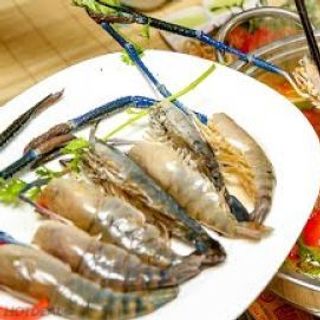 Tôm càng xanh sống -  Khay 500g (giao hcm)