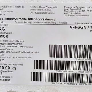 Cá hồi Nauy Nguyên Con