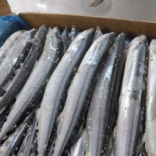 Cá Thu Đao 1kg (giao tphcm)