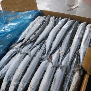 Cá Thu Đao 1kg (giao tphcm)