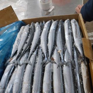 Cá Thu Đao 1kg (giao tphcm)