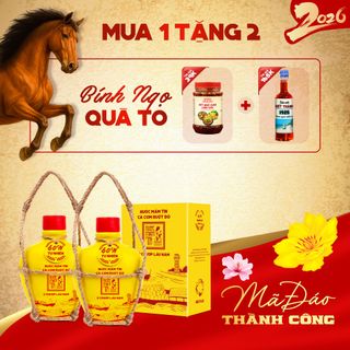 [Tặng Kiết Thành + Sốt Muối Chấm] COMBO 02 BÌNH GỐM 60N 250ML/BÌNH Nước Mắm Tĩn cá cơm ruột đỏ độ đạm rin nguyên chất ủ chượp lâu năm